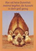 Man soll keine Dummheit zweimal begehen, ...